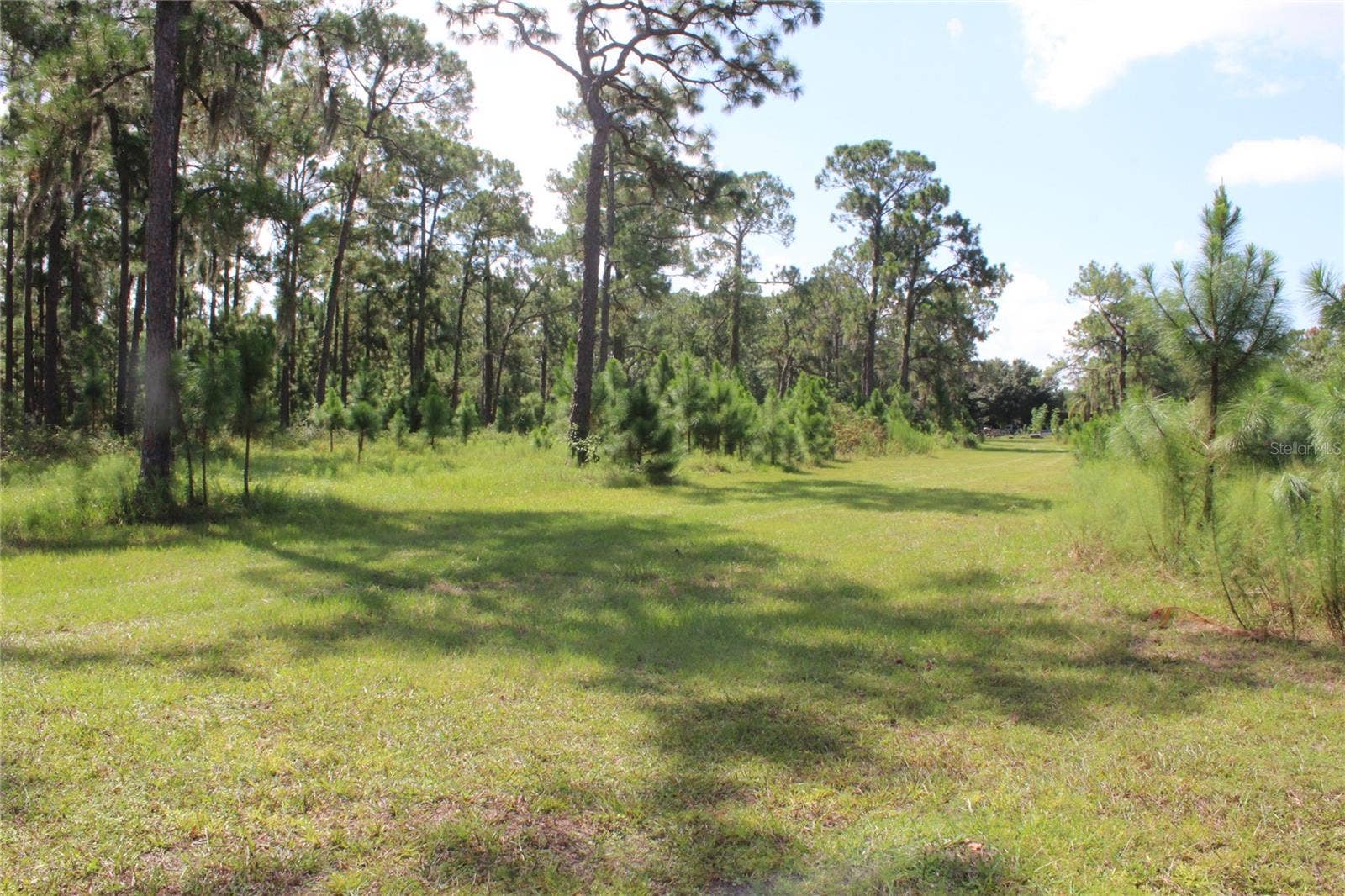 US HIGHWAY 98 W, Frostproof, FL 33843 US HIGHWAY 98 W, Frostproof, FL 33843