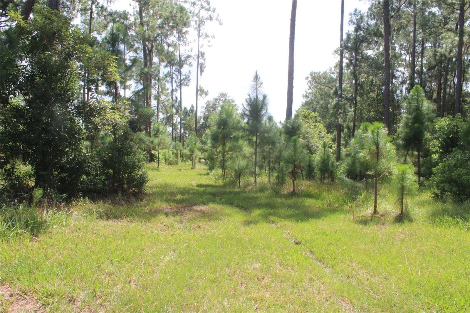US HIGHWAY 98 W, Frostproof, FL 33843 US HIGHWAY 98 W, Frostproof, FL 33843