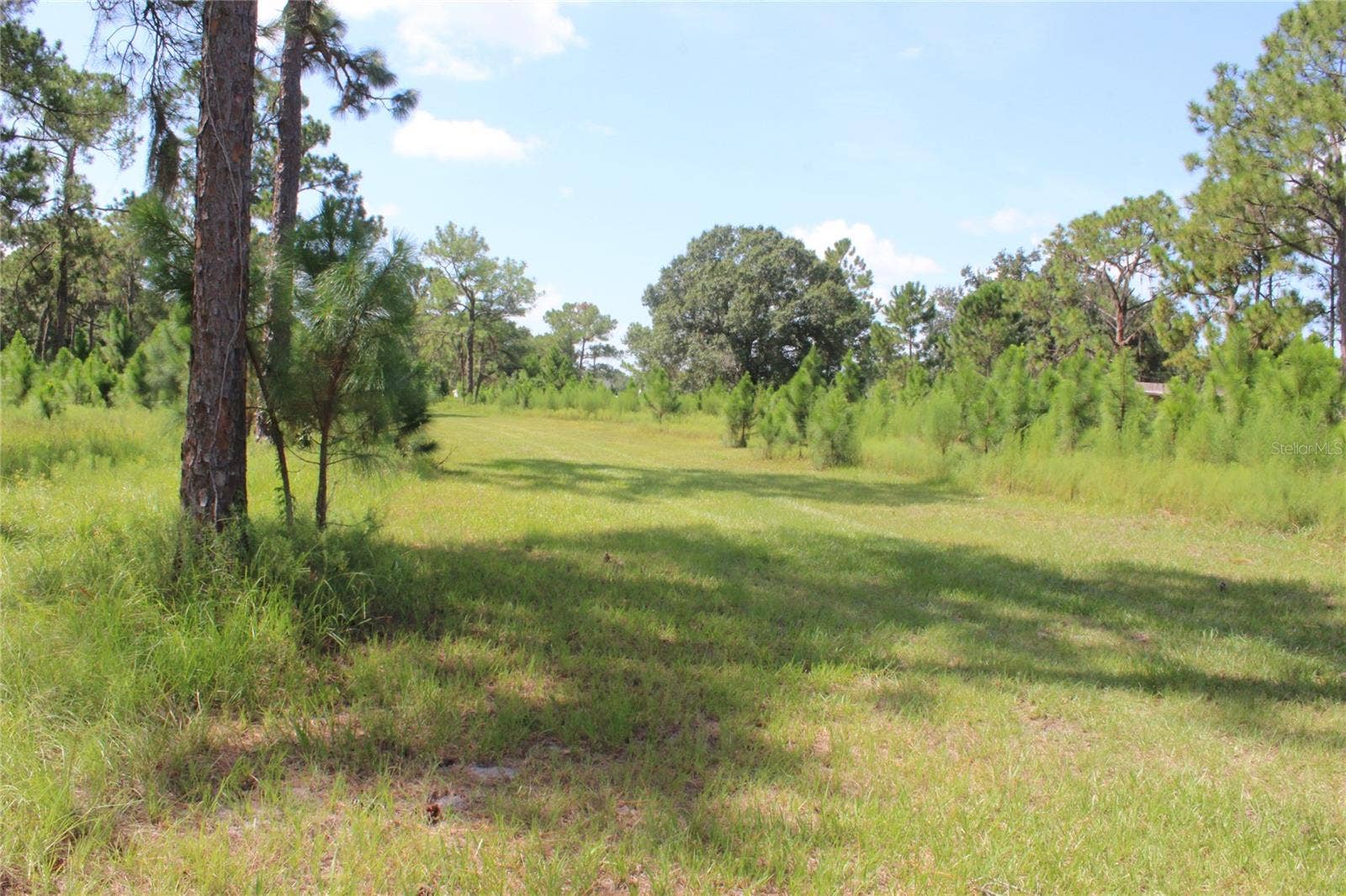US HIGHWAY 98 W, Frostproof, FL 33843 US HIGHWAY 98 W, Frostproof, FL 33843