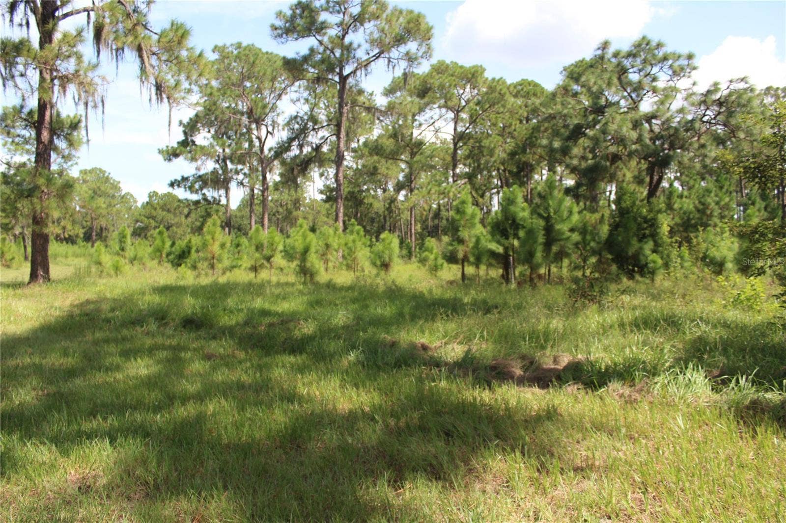 US HIGHWAY 98 W, Frostproof, FL 33843 US HIGHWAY 98 W, Frostproof, FL 33843