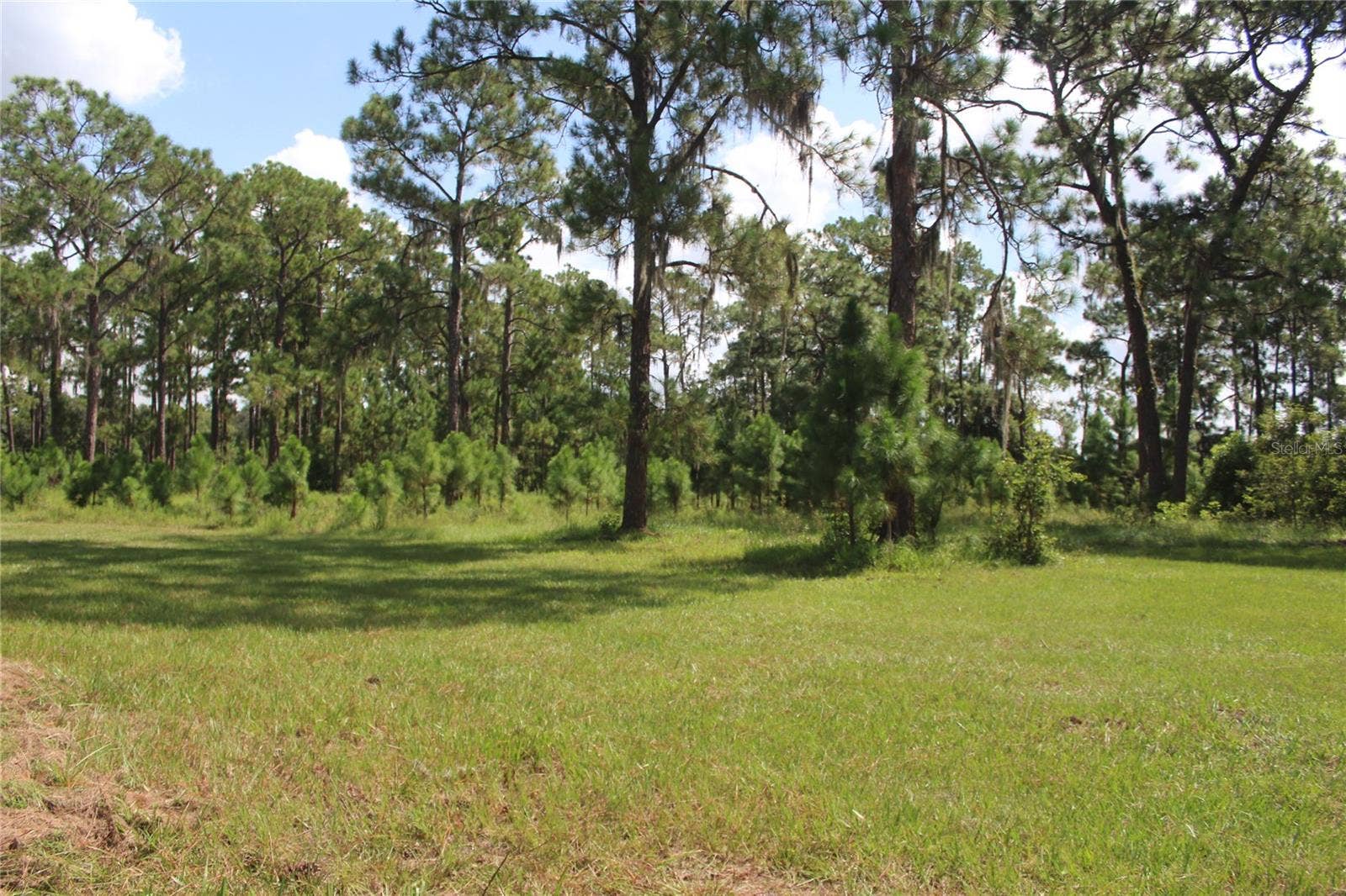 US HIGHWAY 98 W, Frostproof, FL 33843 US HIGHWAY 98 W, Frostproof, FL 33843