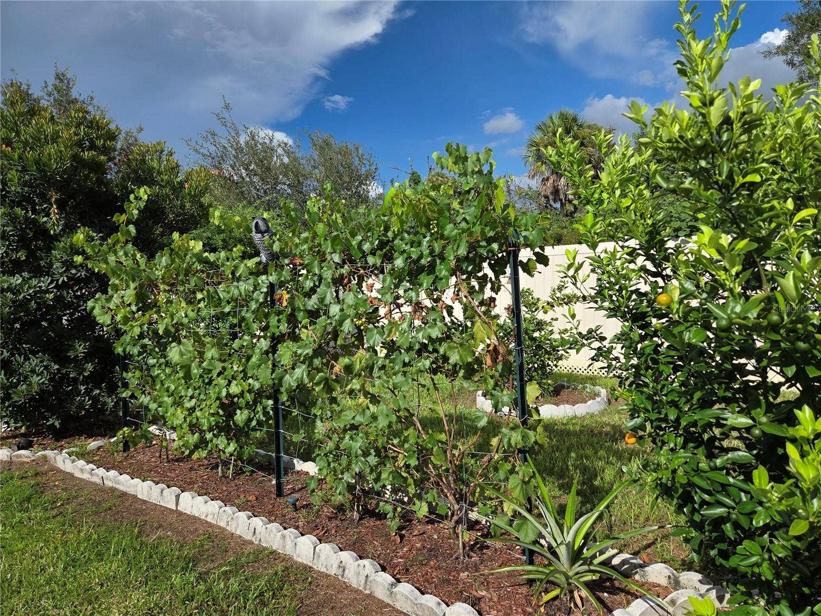 4529 REISSWOOD LOOP, Palmetto, FL 34221 4529 REISSWOOD LOOP, Palmetto, FL 34221