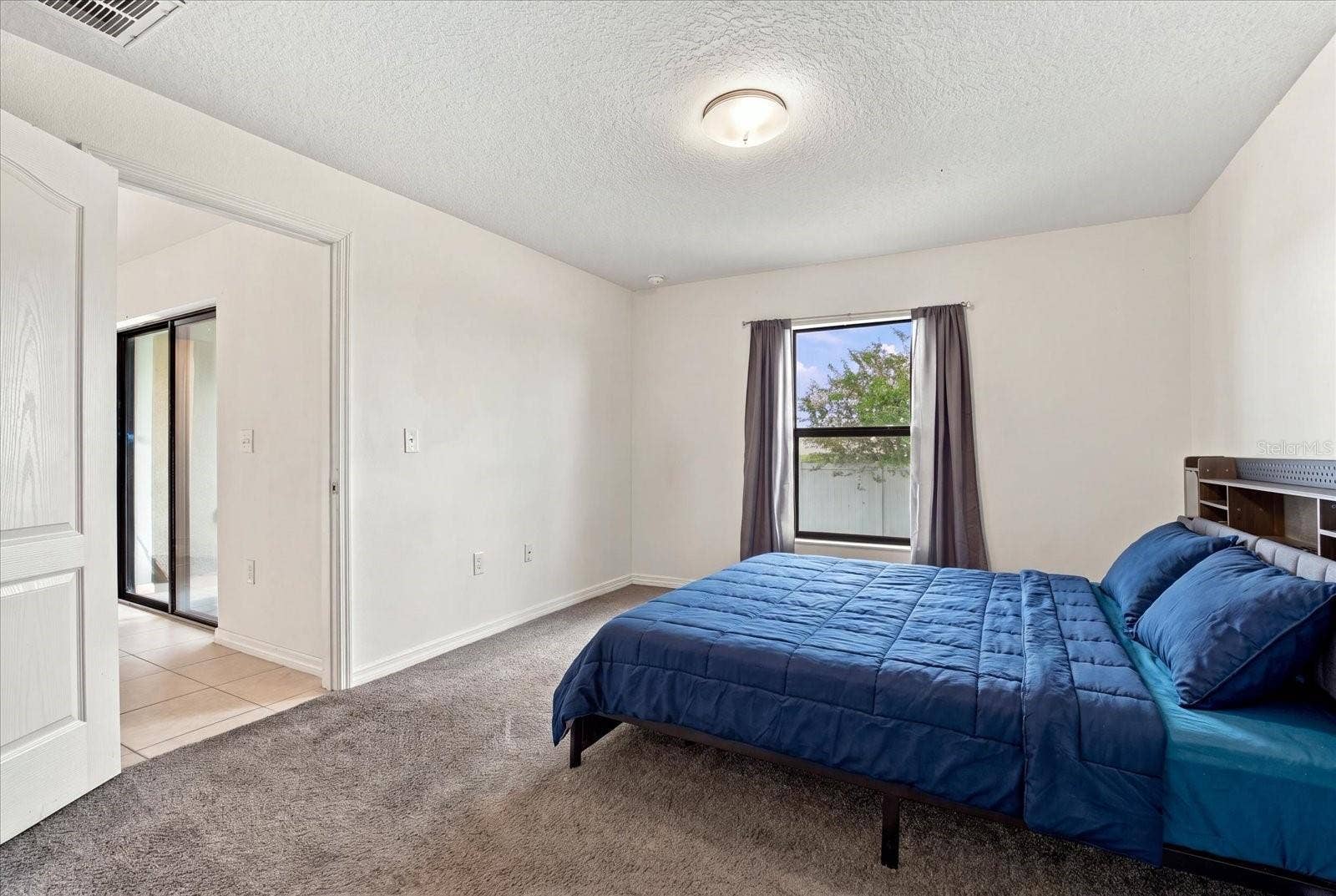 810 CHATHAM WALK DRIVE, Ruskin, FL 33570 Primary Room