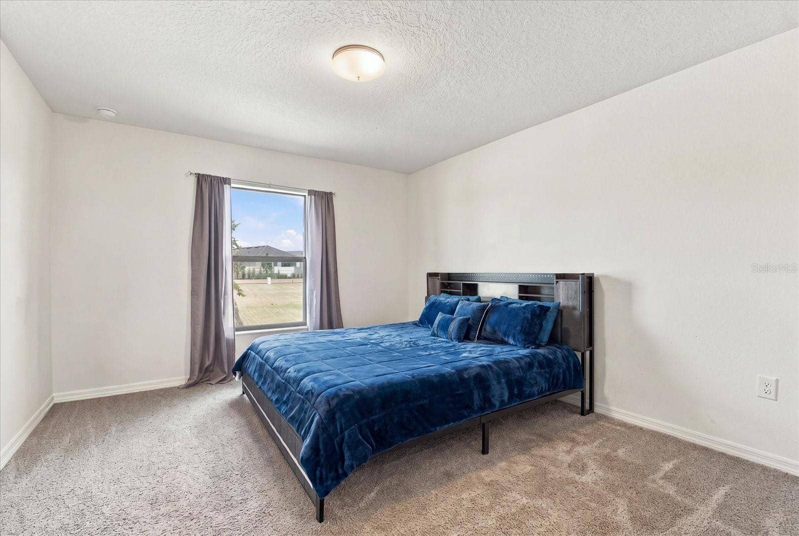 810 CHATHAM WALK DRIVE, Ruskin, FL 33570 Primary Room