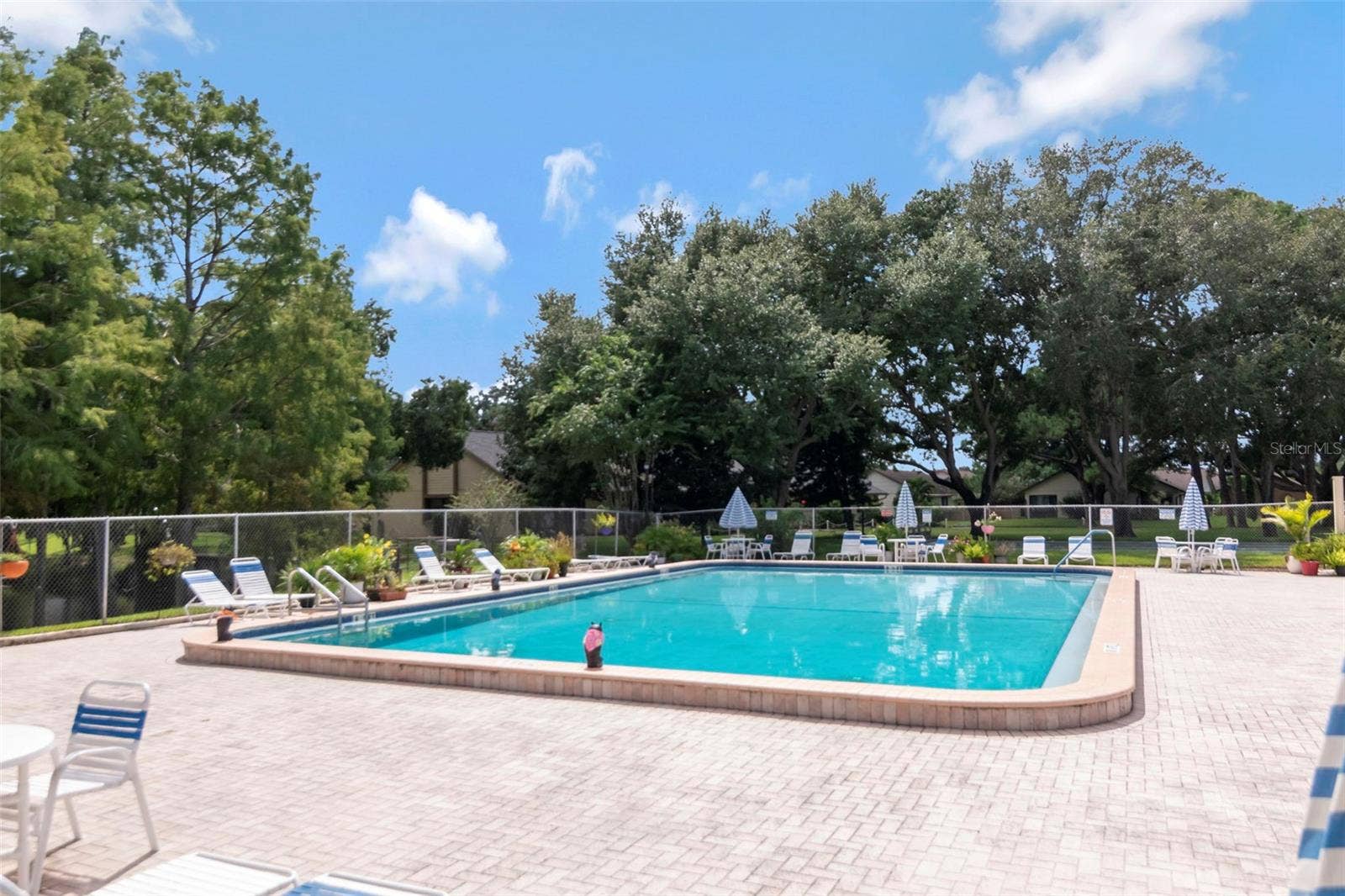 2569 LAURELWOOD DRIVE, #11B, Clearwater, FL 33763