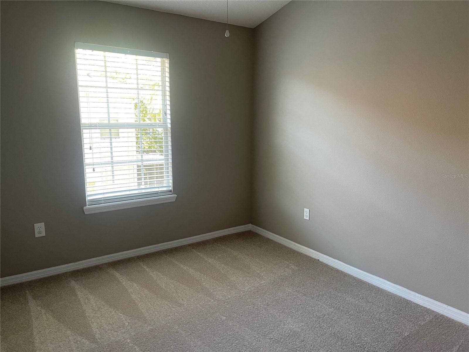 7001 INTERBAY BOULEVARD, #186, Tampa, FL 33616 7001 INTERBAY BOULEVARD, #186, Tampa, FL 33616