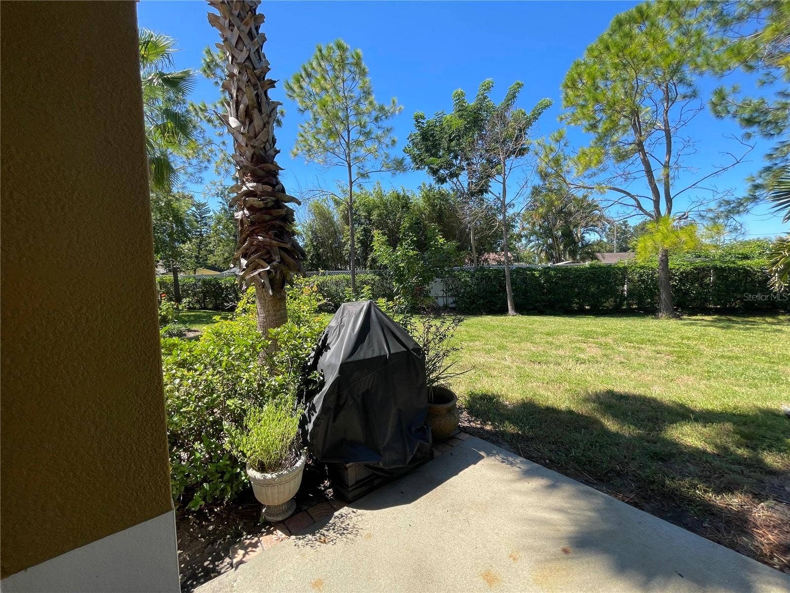 7001 INTERBAY BOULEVARD, #186, Tampa, FL 33616 7001 INTERBAY BOULEVARD, #186, Tampa, FL 33616