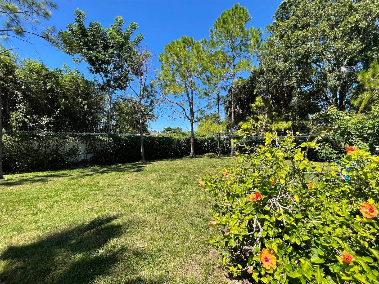 7001 INTERBAY BOULEVARD, #186, Tampa, FL 33616 7001 INTERBAY BOULEVARD, #186, Tampa, FL 33616
