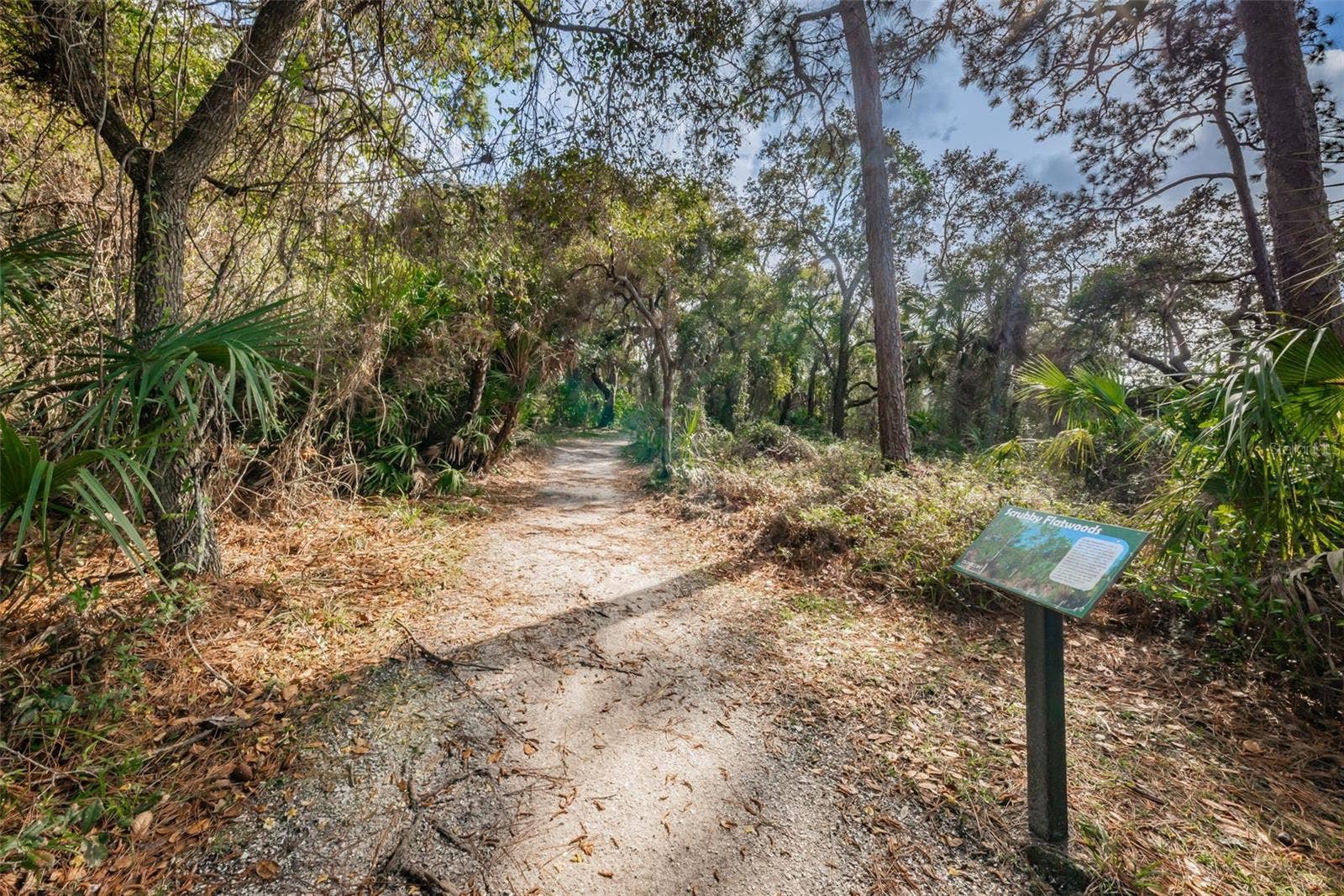 2287 CAROLYN DRIVE, Dunedin, FL 34698 Hammock Park