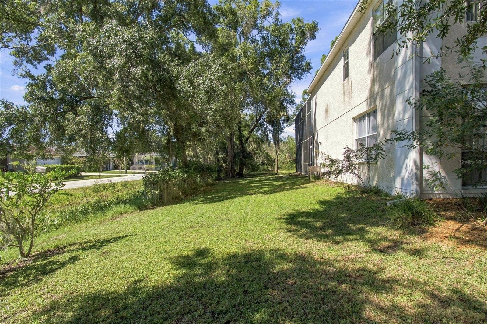8102 STONEFIELD, Tampa, FL 33635 Side Yard