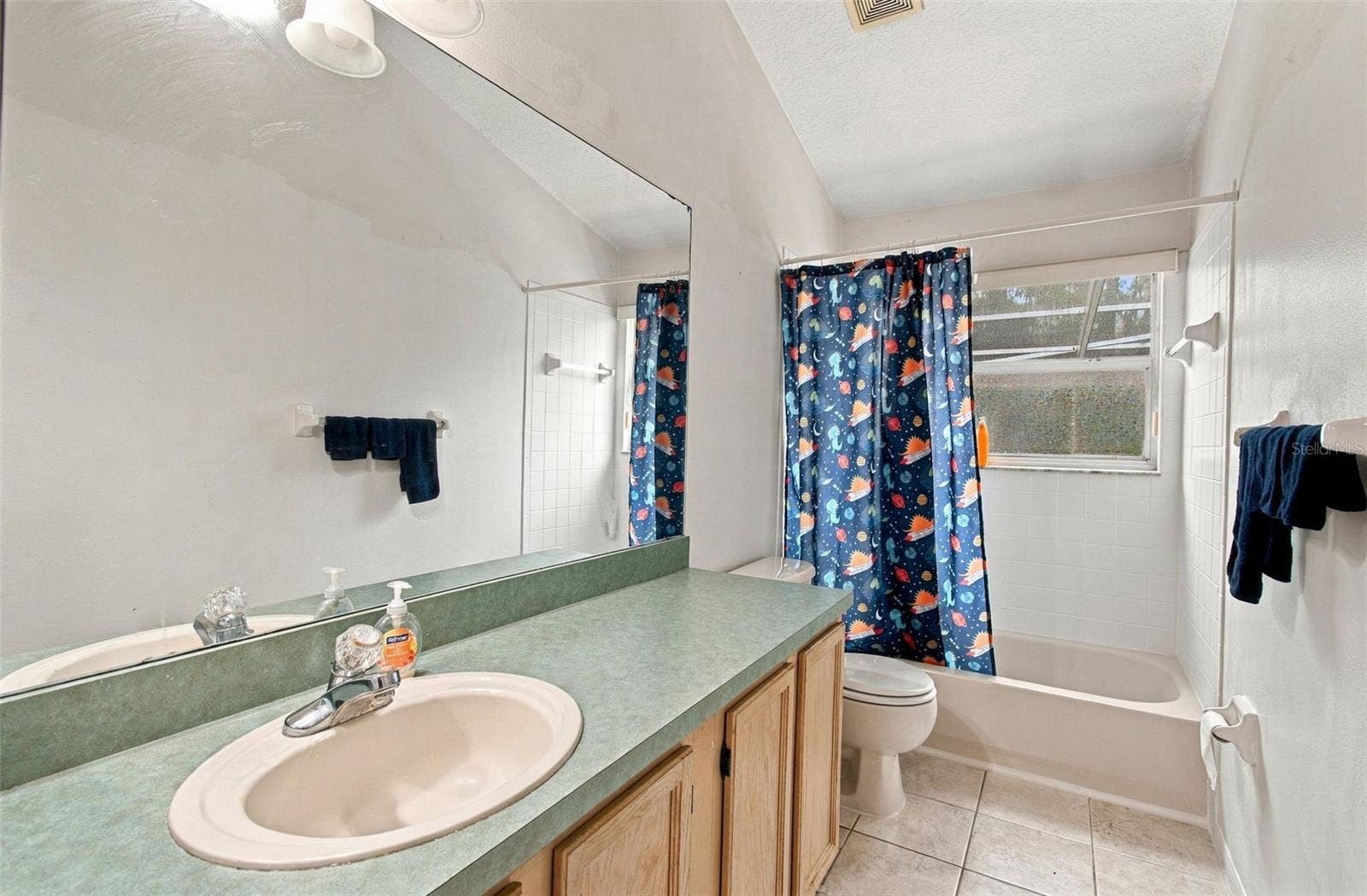 8102 STONEFIELD, Tampa, FL 33635 Bathroom #2