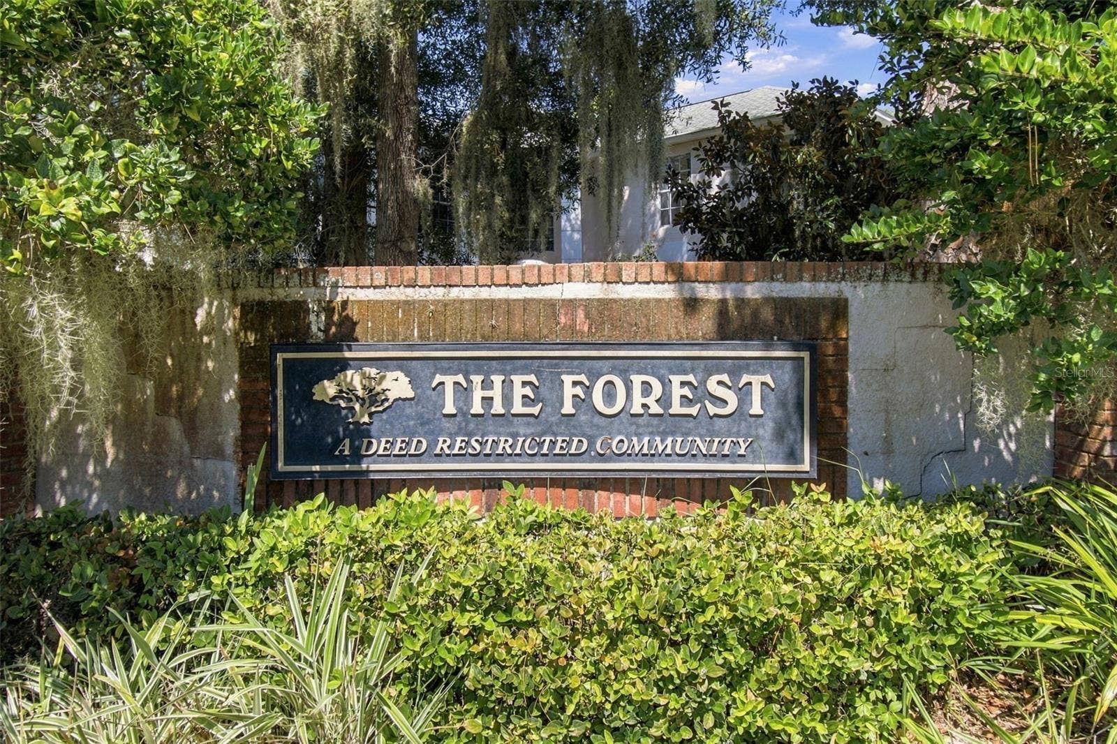 8102 STONEFIELD, Tampa, FL 33635 The Forest @ Countryway-