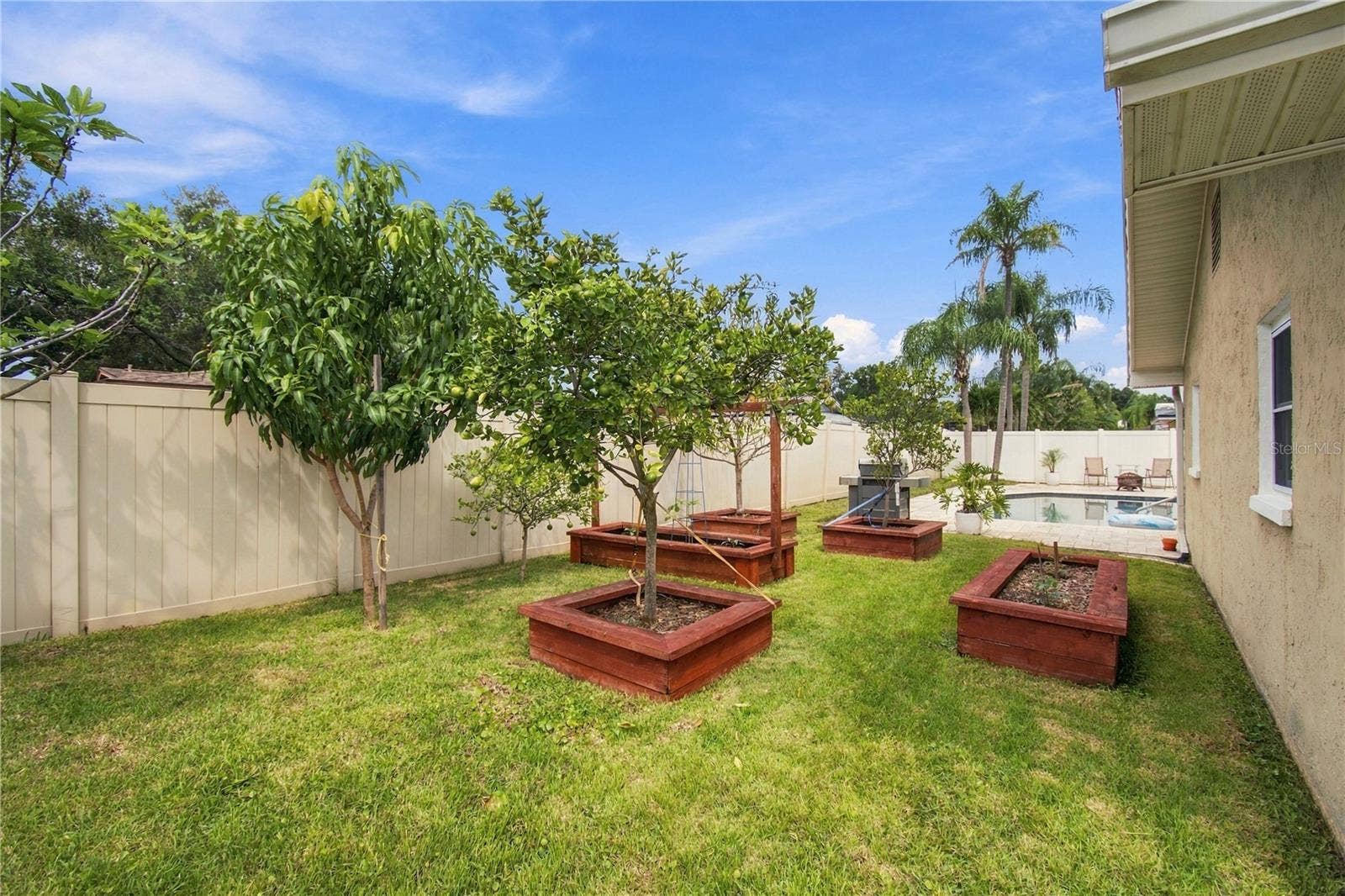 1967 ARVIS CIRCLE E, Clearwater, FL 33764 Fruit salad in your back yard!