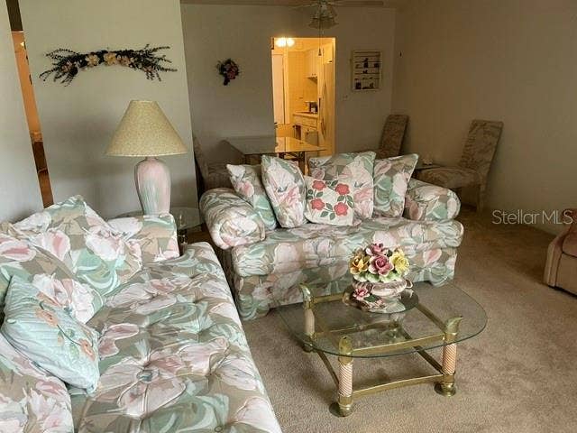 5247 81ST STREET N, #5, St Petersburg, FL 33709 Living Room