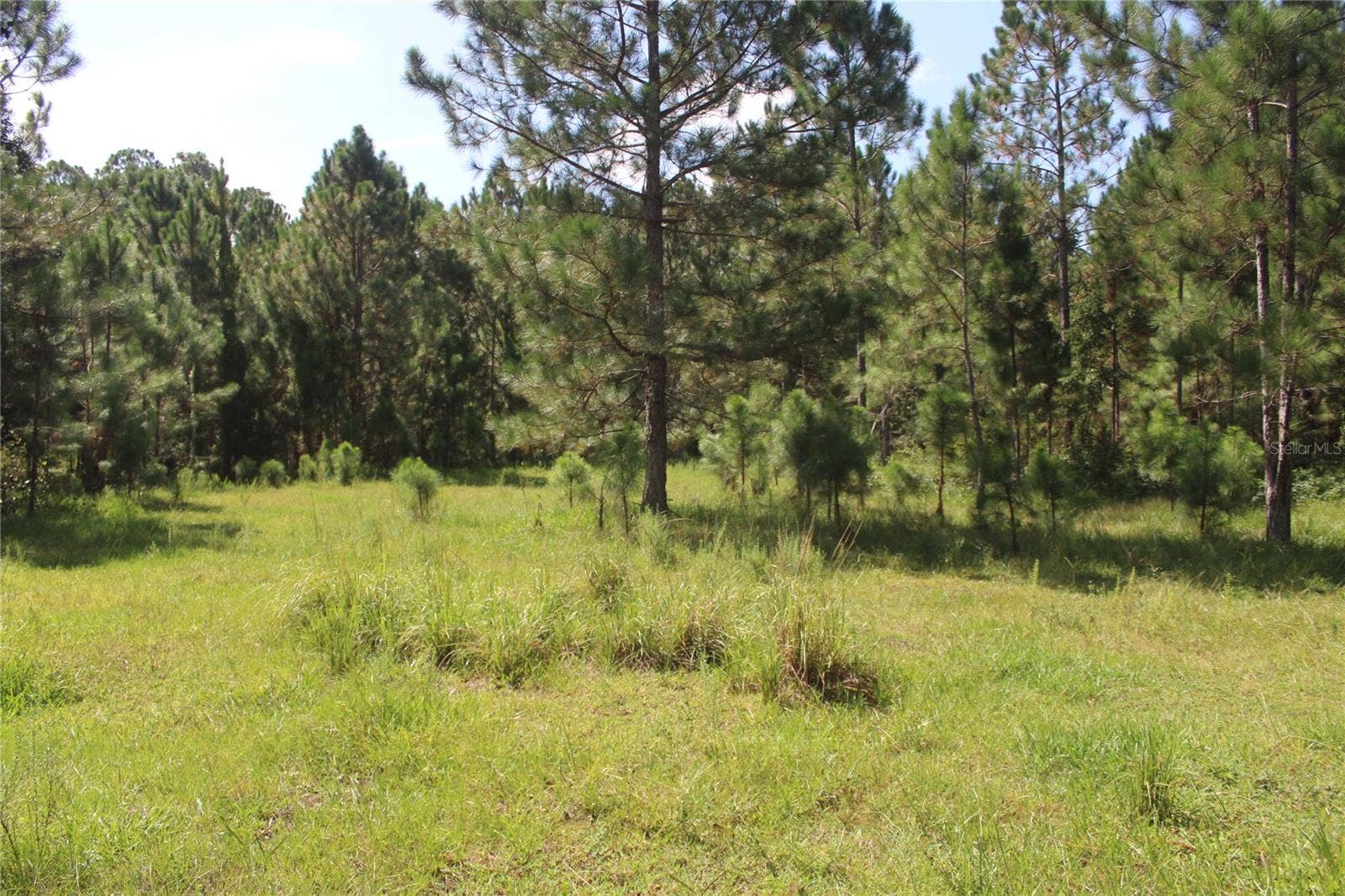 US HIGHWAY 98 W, Frostproof, FL 33843 US HIGHWAY 98 W, Frostproof, FL 33843