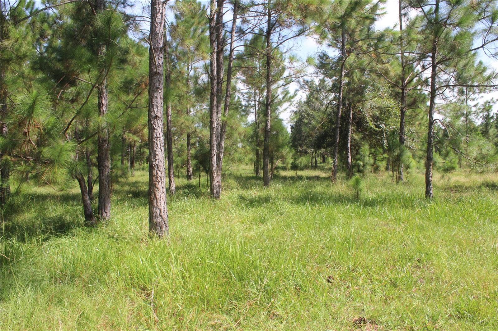 US HIGHWAY 98 W, Frostproof, FL 33843 US HIGHWAY 98 W, Frostproof, FL 33843