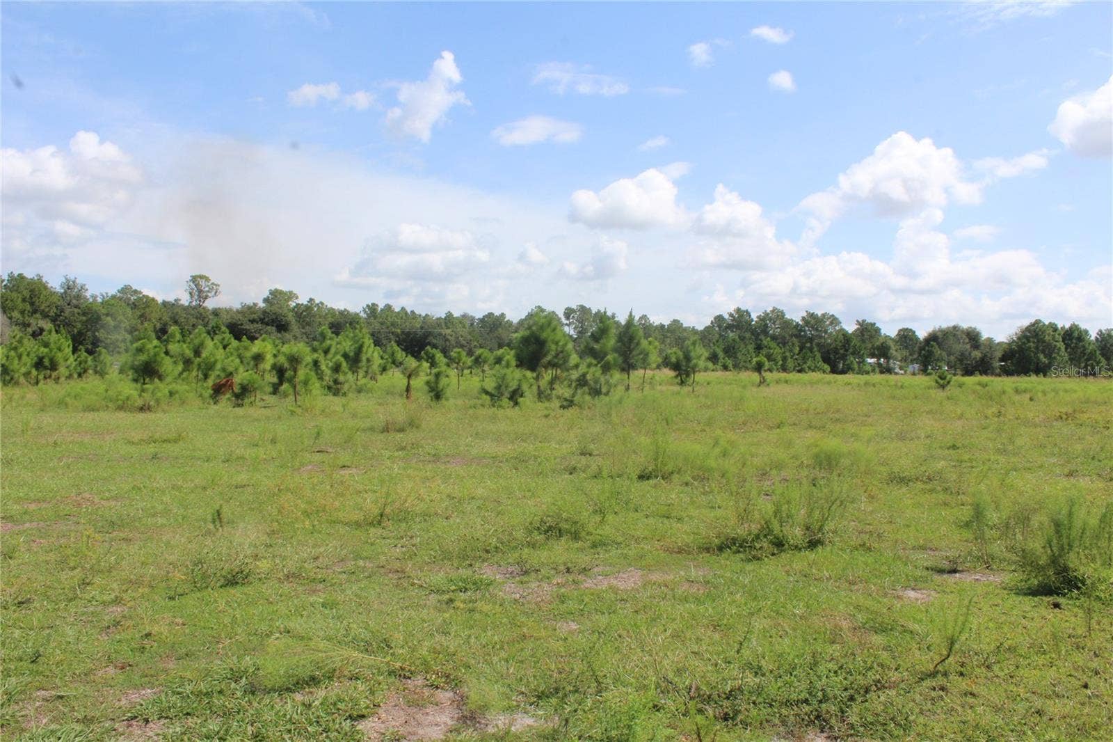 US HIGHWAY 98 W, Frostproof, FL 33843 US HIGHWAY 98 W, Frostproof, FL 33843