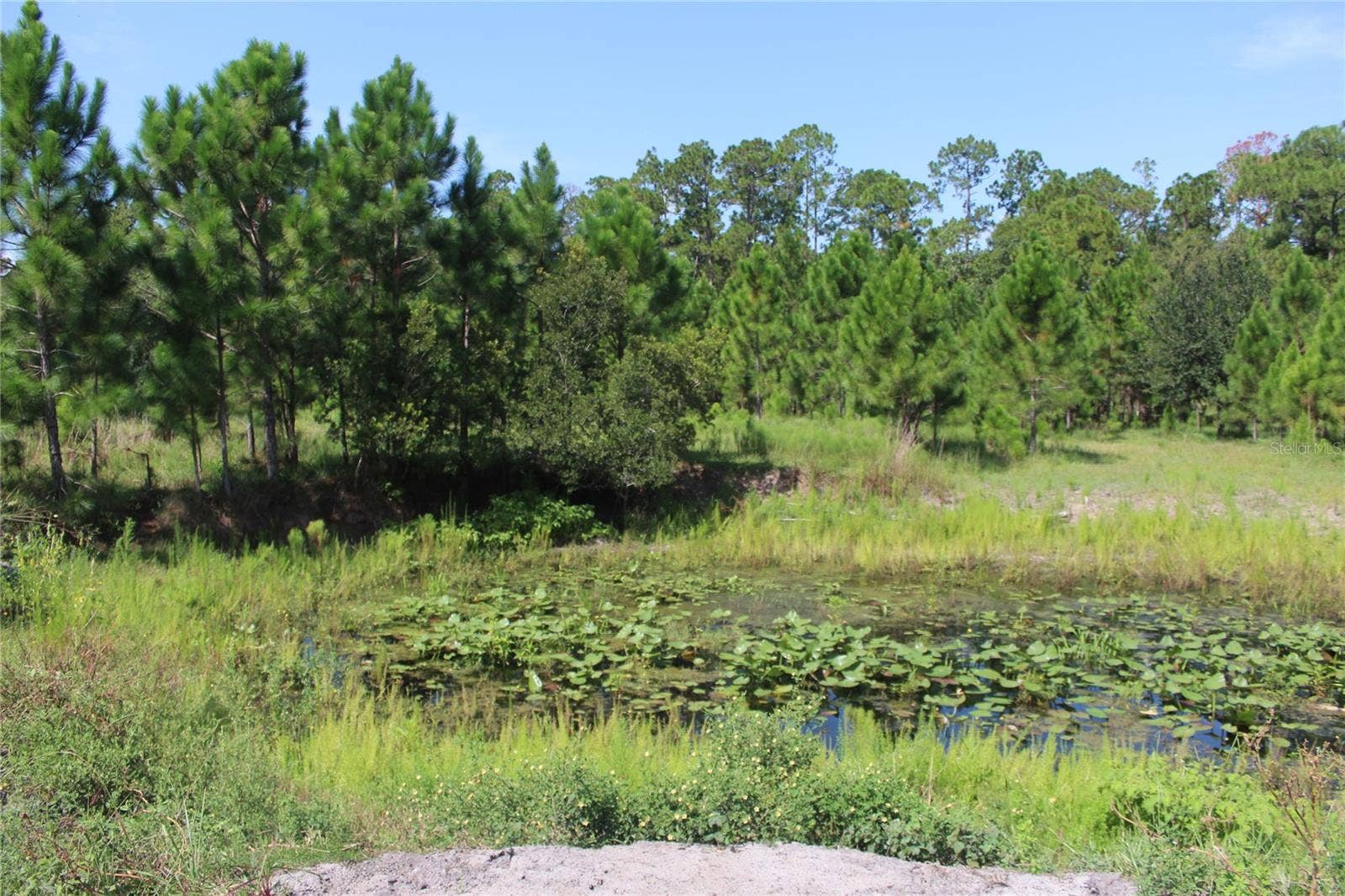 US HIGHWAY 98 W, Frostproof, FL 33843 US HIGHWAY 98 W, Frostproof, FL 33843