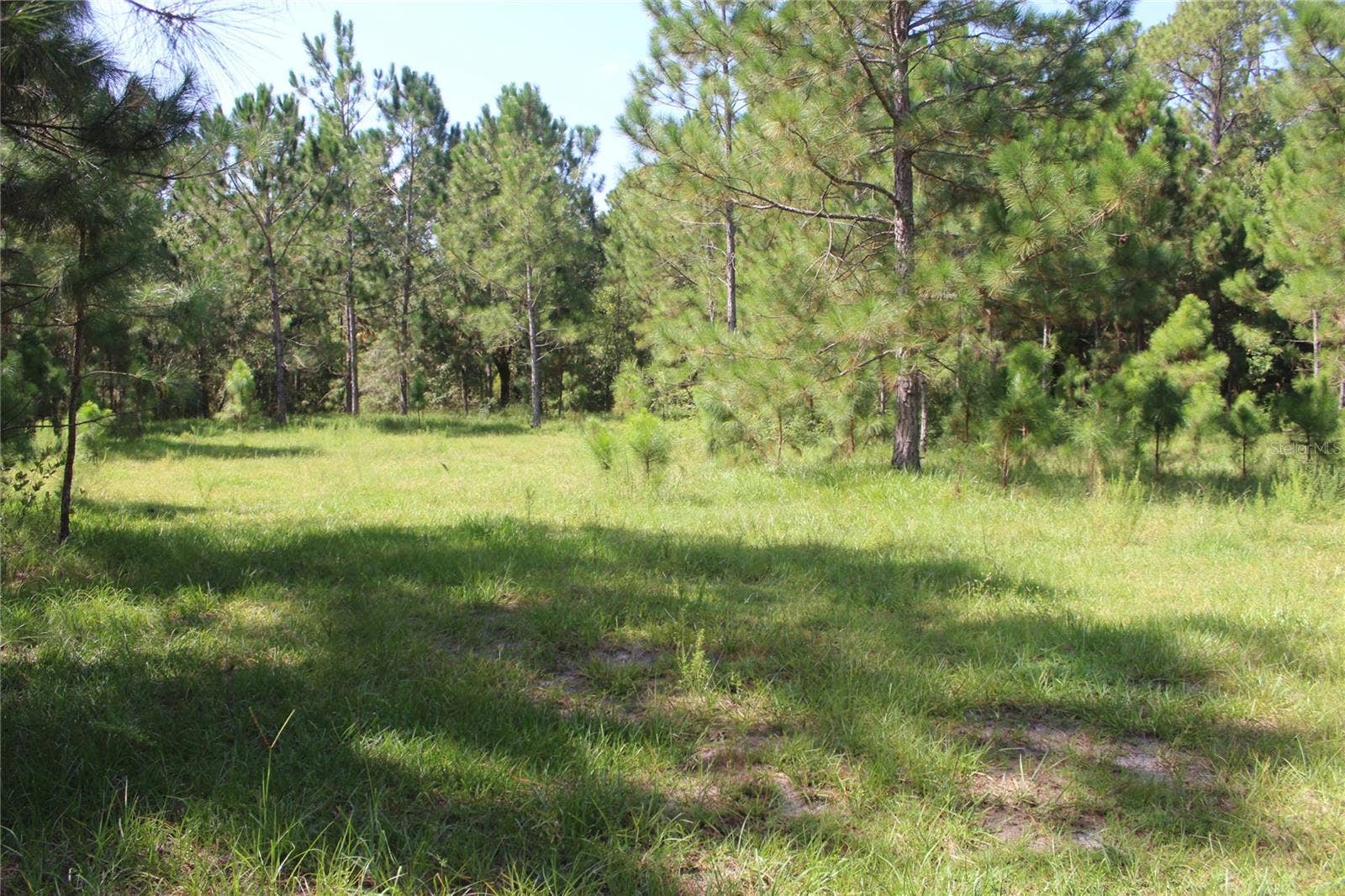 US HIGHWAY 98 W, Frostproof, FL 33843 US HIGHWAY 98 W, Frostproof, FL 33843