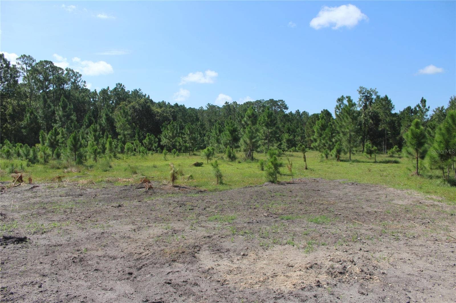 US HIGHWAY 98 W, Frostproof, FL 33843 US HIGHWAY 98 W, Frostproof, FL 33843