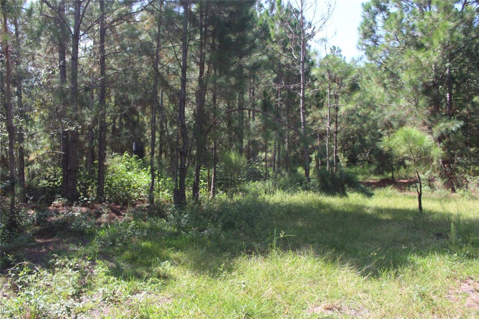 US HIGHWAY 98 W, Frostproof, FL 33843 US HIGHWAY 98 W, Frostproof, FL 33843