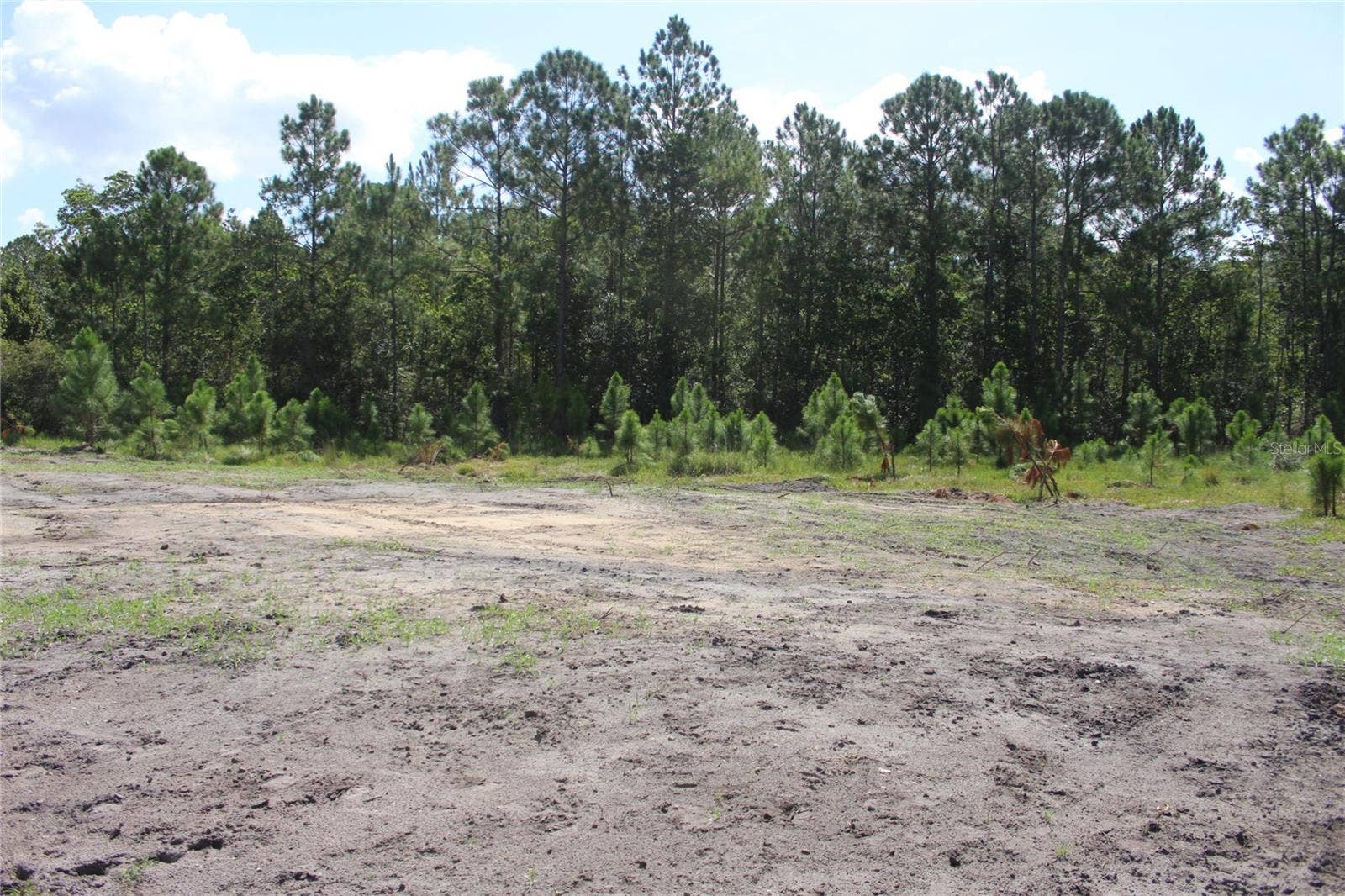 US HIGHWAY 98 W, Frostproof, FL 33843 US HIGHWAY 98 W, Frostproof, FL 33843