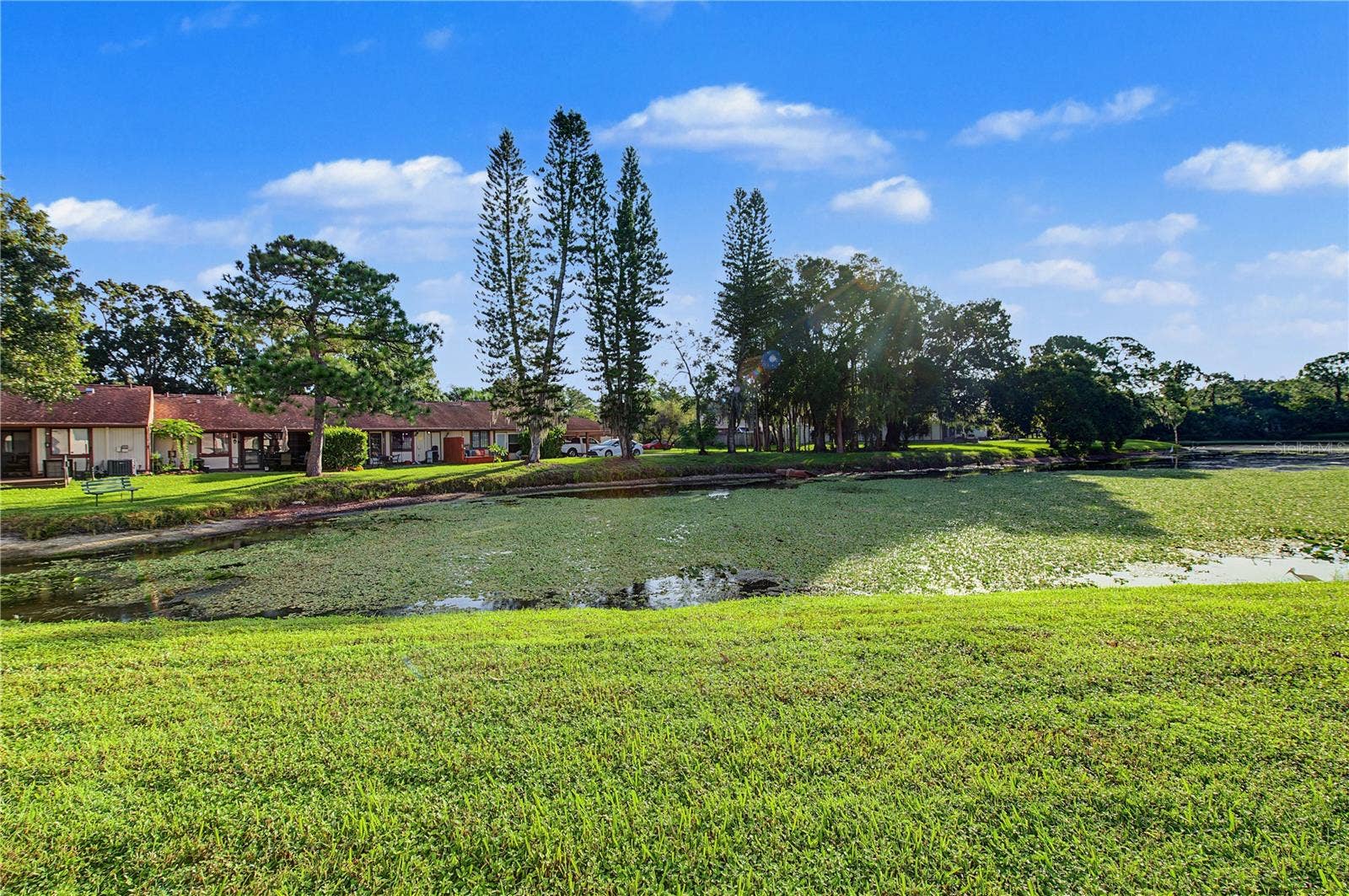 127 CAMPHOR DRIVE, #E, Oldsmar, FL 34677 127 CAMPHOR DRIVE, #E, Oldsmar, FL 34677