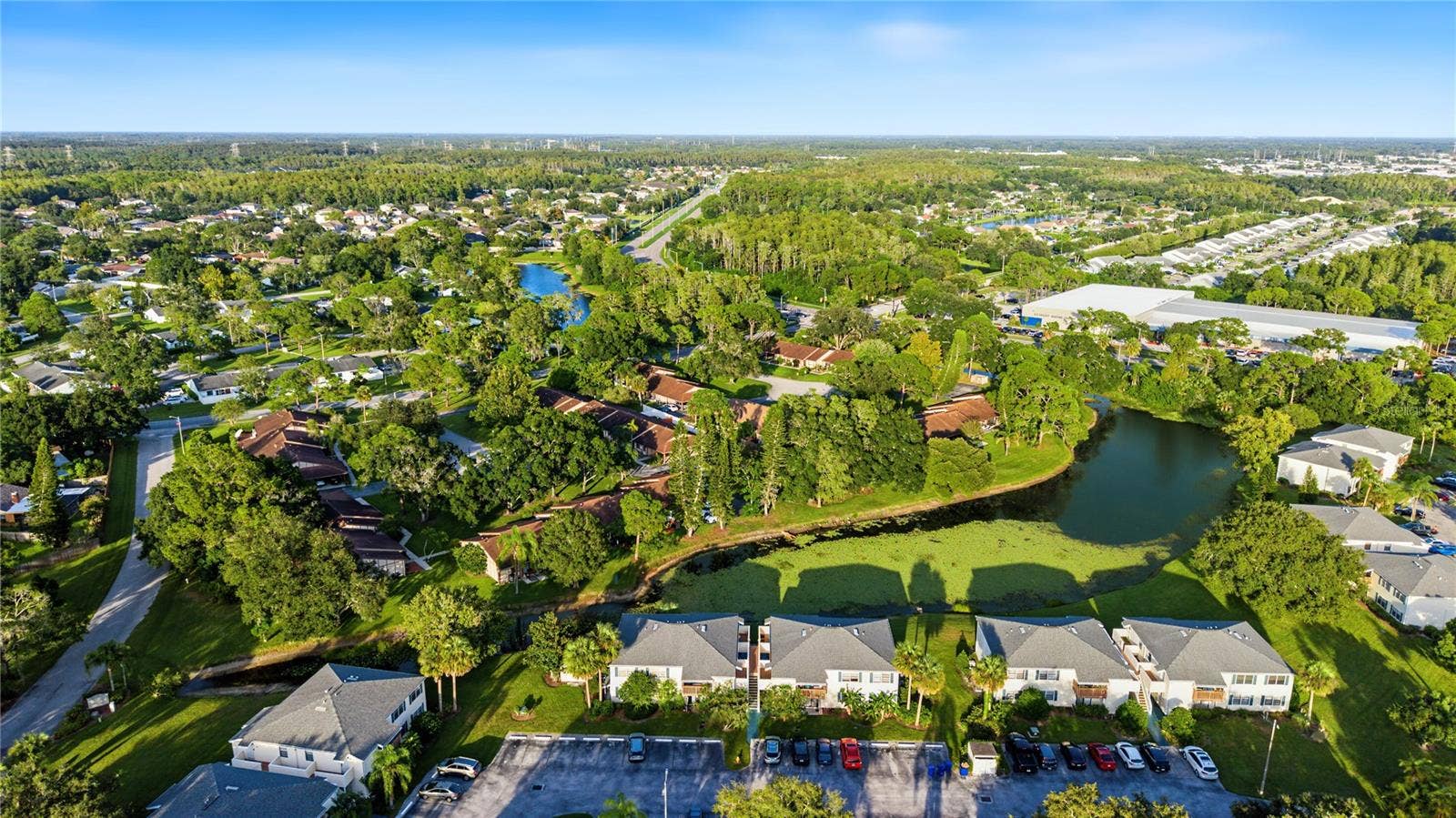 127 CAMPHOR DRIVE, #E, Oldsmar, FL 34677 127 CAMPHOR DRIVE, #E, Oldsmar, FL 34677