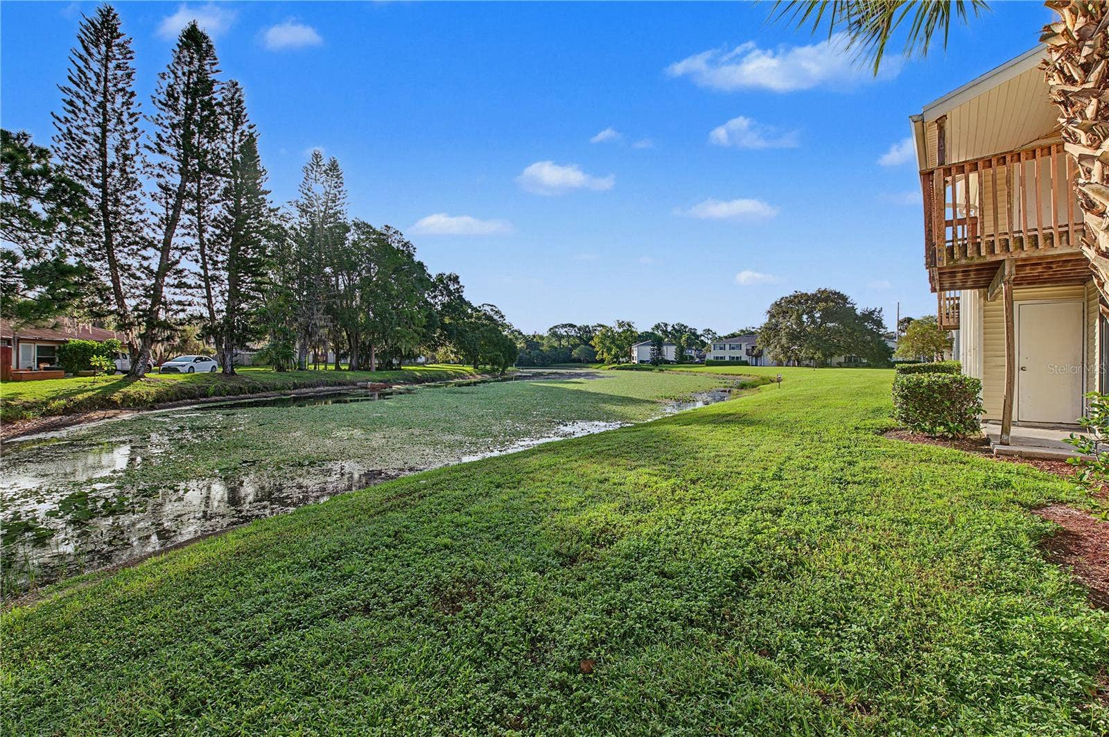 127 CAMPHOR DRIVE, #E, Oldsmar, FL 34677 127 CAMPHOR DRIVE, #E, Oldsmar, FL 34677