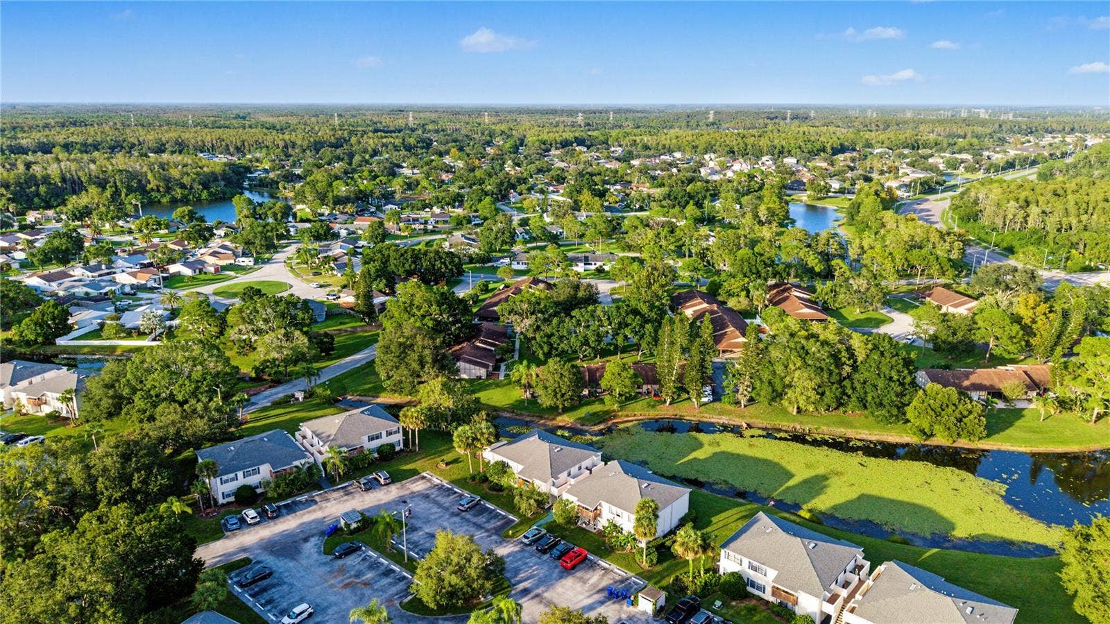 127 CAMPHOR DRIVE, #E, Oldsmar, FL 34677 127 CAMPHOR DRIVE, #E, Oldsmar, FL 34677