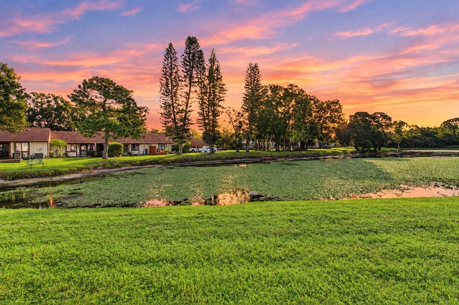 127 CAMPHOR DRIVE, #E, Oldsmar, FL 34677 127 CAMPHOR DRIVE, #E, Oldsmar, FL 34677