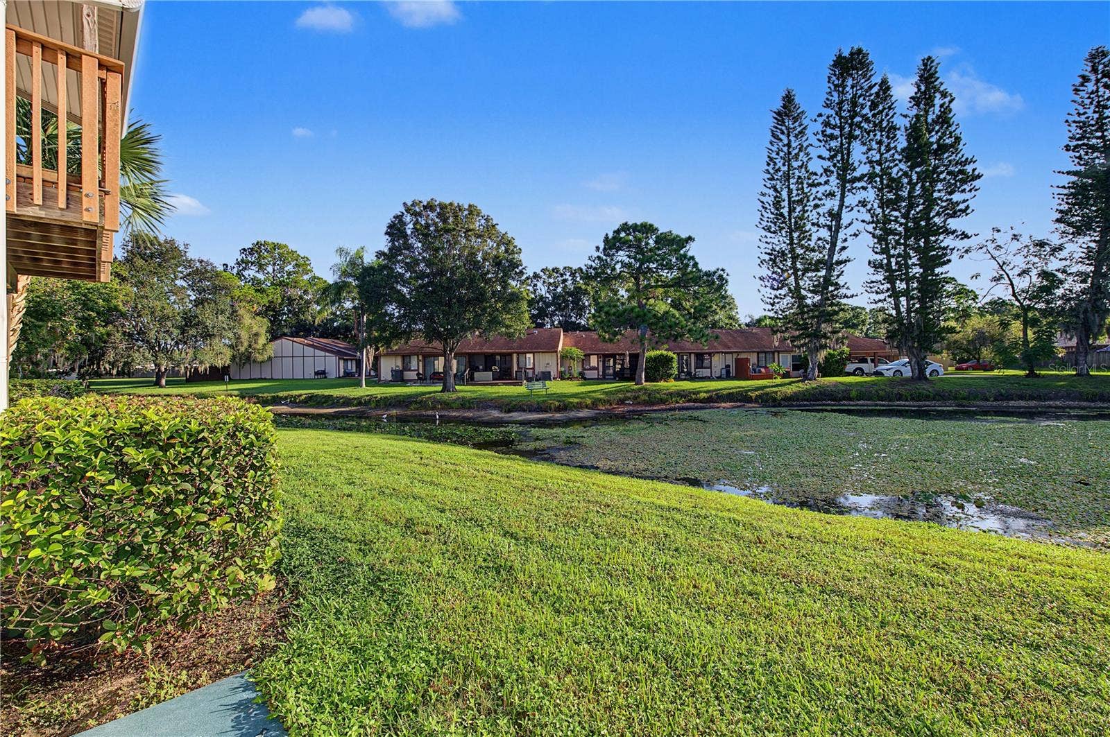 127 CAMPHOR DRIVE, #E, Oldsmar, FL 34677 127 CAMPHOR DRIVE, #E, Oldsmar, FL 34677