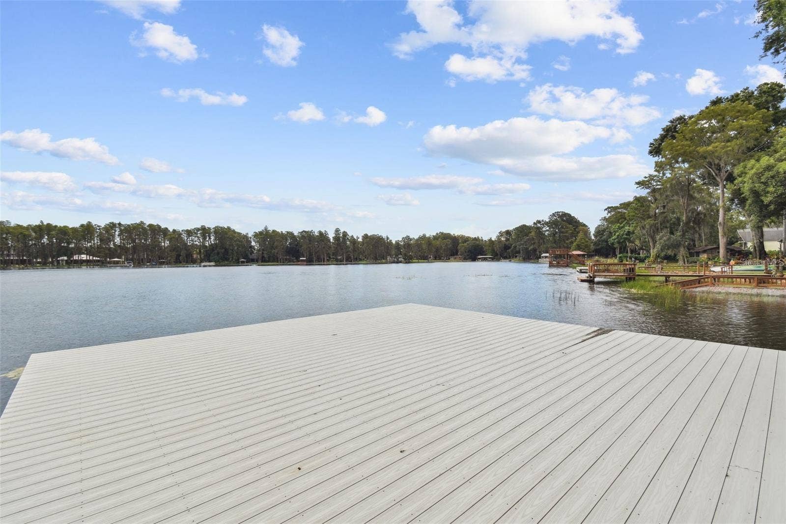 17018 DENNIS ROAD, Lutz, FL 33558 17018 DENNIS ROAD, Lutz, FL 33558