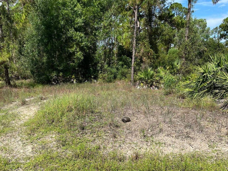 Property photo for 12 MONROE AVENUE, Lehigh Acres, FL