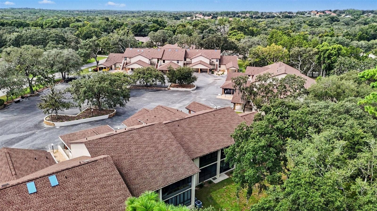 175 E HARTFORD STREET, #5A, Hernando, FL 34442 Back Arial View