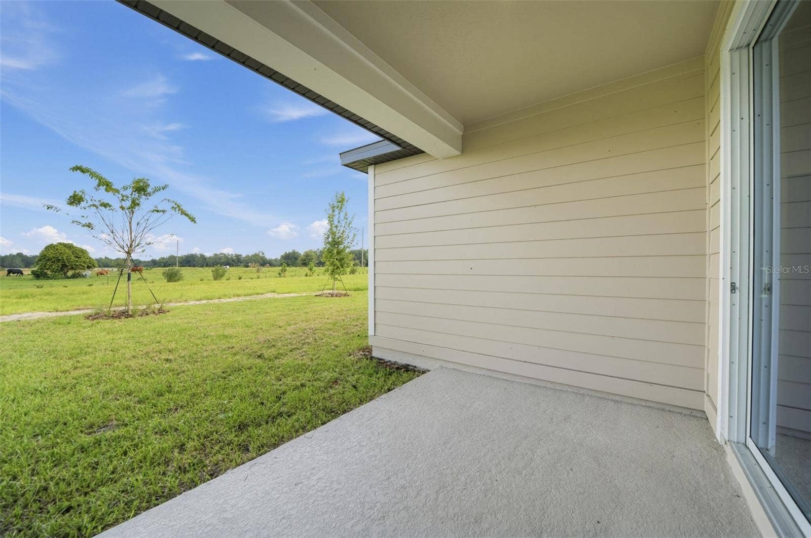 30134 EMERALD FOREST DRIVE, Mount Dora, FL 32757
