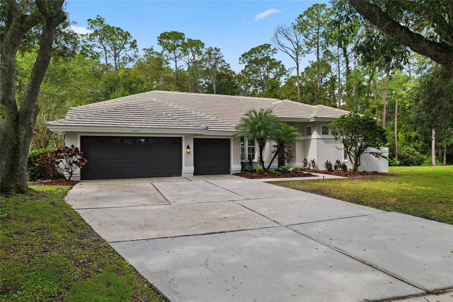 Property photo for 3951 BRIGHTSIDE LANE, Palm Harbor, FL