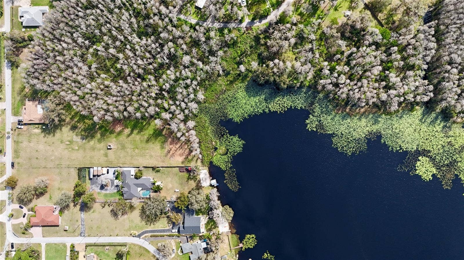19218 BLOUNT ROAD, Lutz, FL 33558