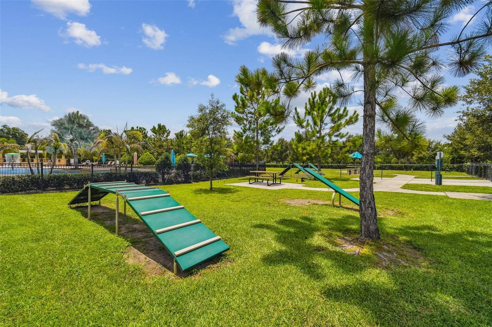 Dog Park