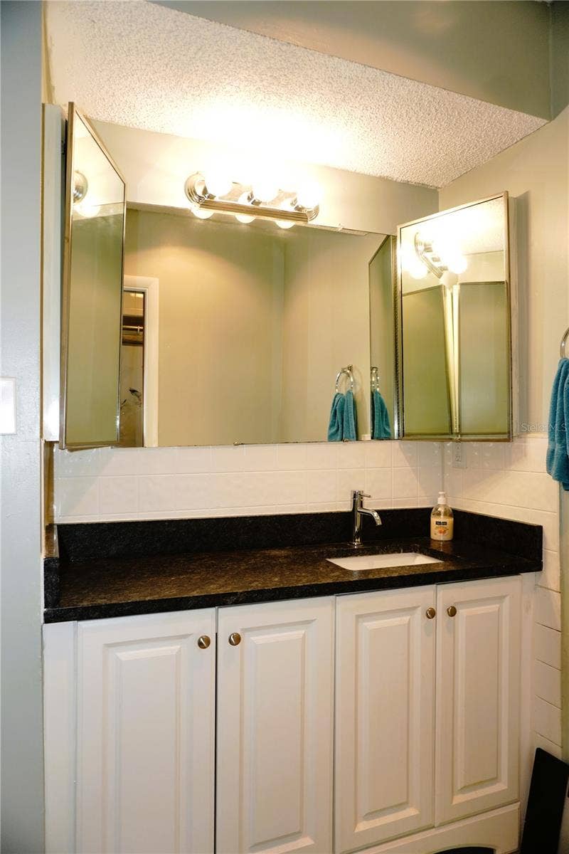 4337 TAHITIAN GARDENS CIRCLE, #E, Holiday, FL 34691 Bath Vanity