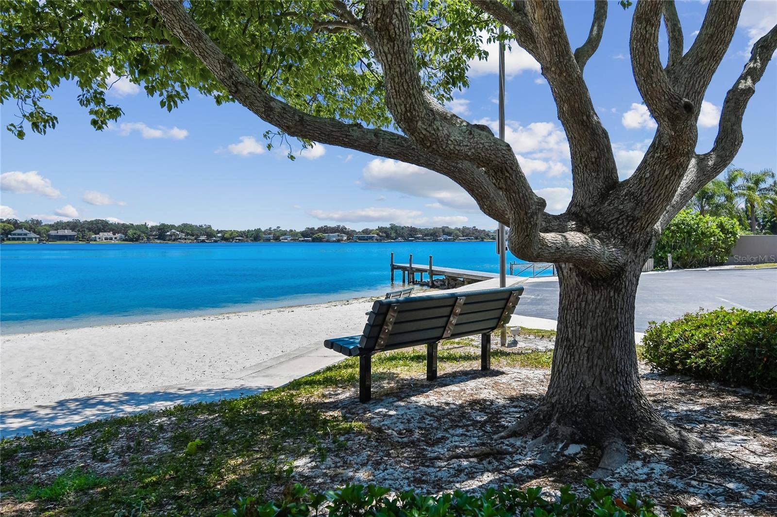 10312 LAKE CARROLL WAY, Tampa, FL 33618 Private Beach
