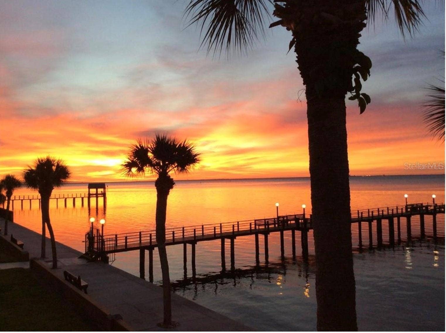 650 PINELLAS POINT DRIVE S, #240, St Petersburg, FL 33705 650 PINELLAS POINT DRIVE S, #240, St Petersburg, FL 33705