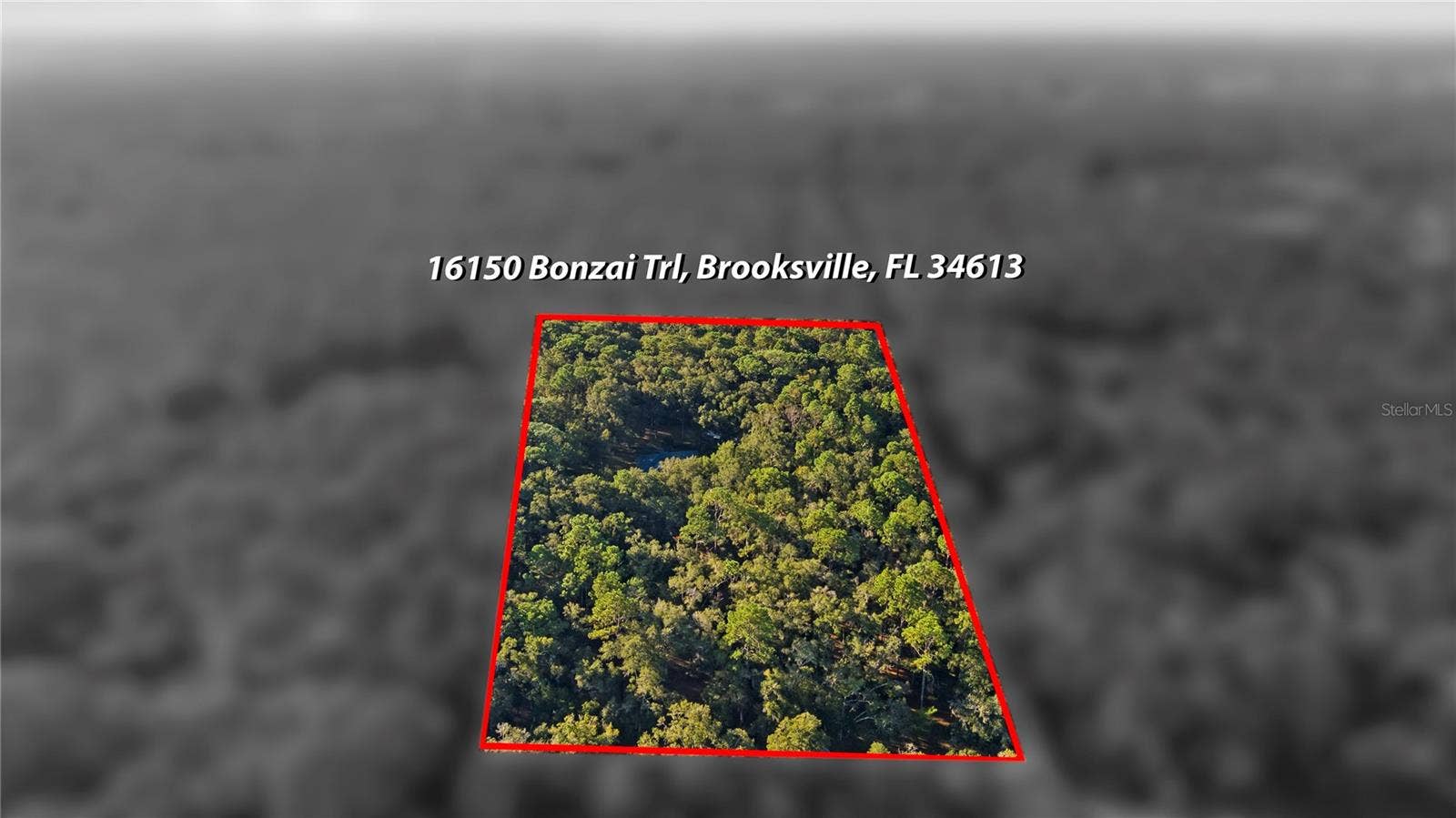 16150 BONZAI TRAIL, Brooksville, FL 34613 16150 BONZAI TRAIL, Brooksville, FL 34613