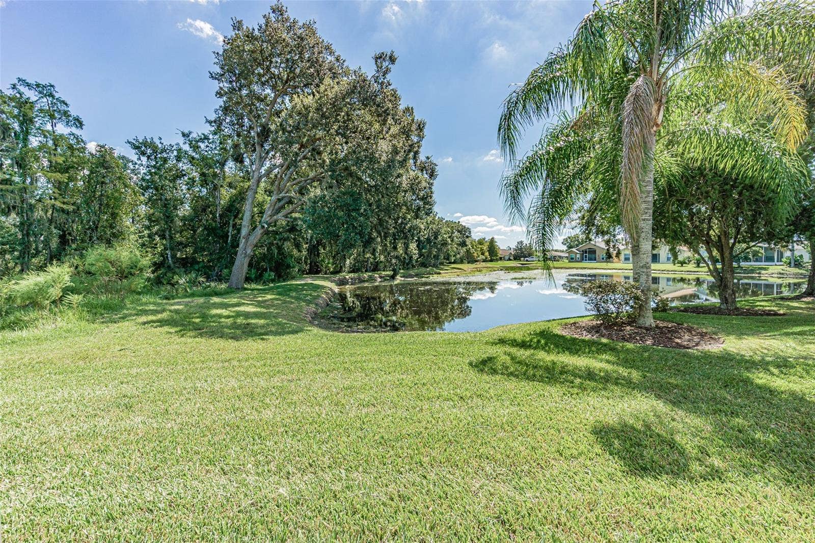 Serene Conservation  and water views from greatroom and lanai!