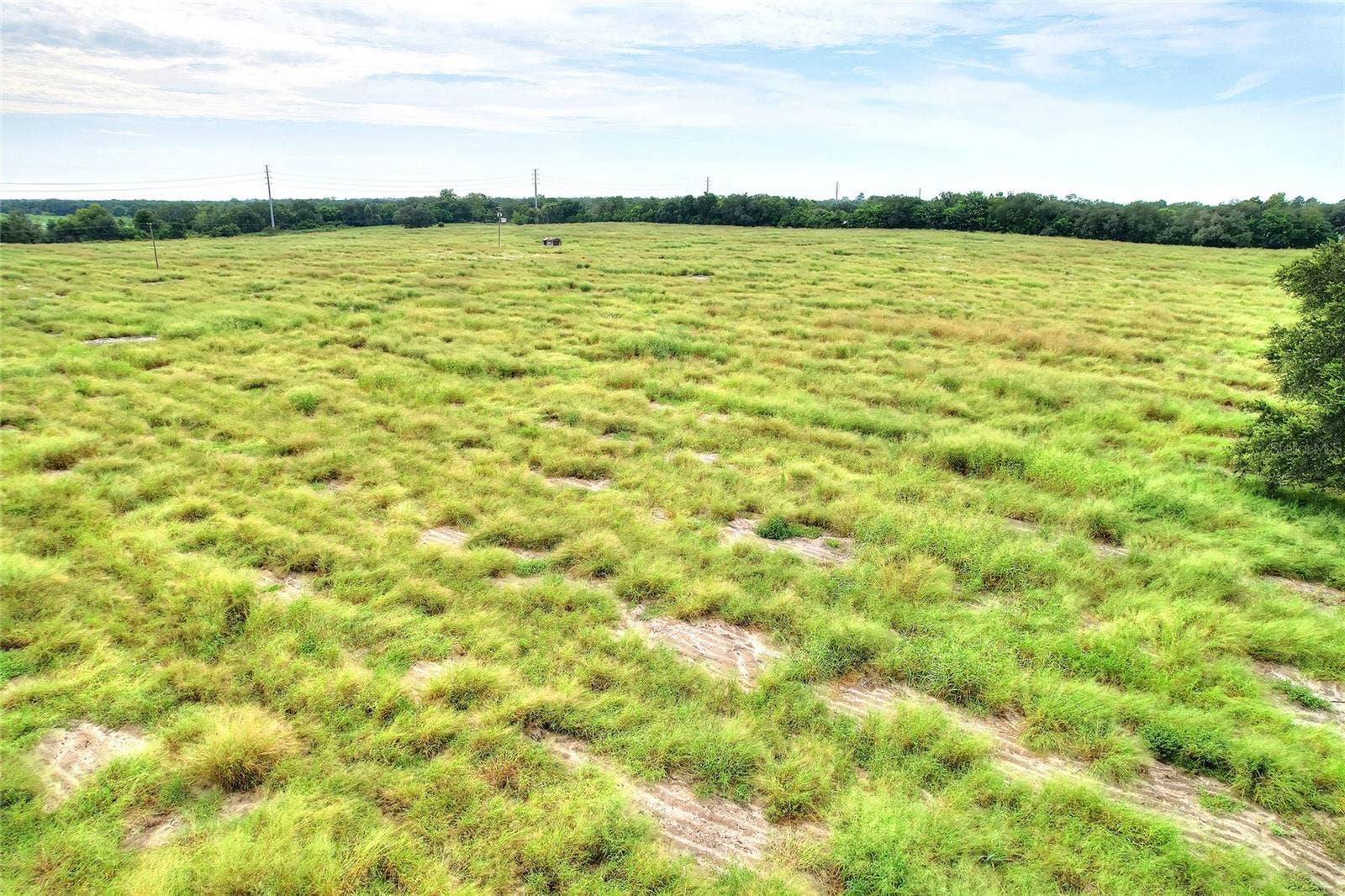 BAGLEY ROAD, Haines City, FL 33844