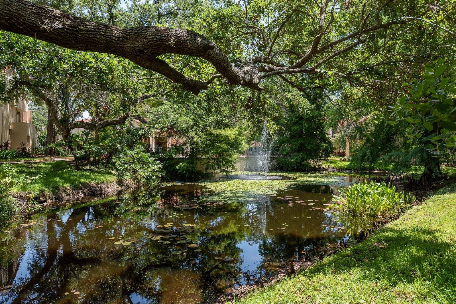 301 LOS PRADOS DRIVE, #301, Safety Harbor, FL 34695 301 LOS PRADOS DRIVE, #301, Safety Harbor, FL 34695