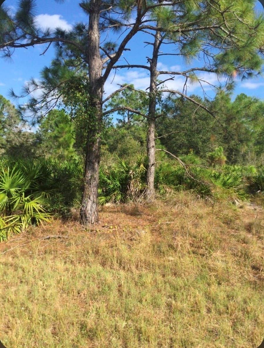 Property photo for 1604 5TH AVENUE, Lehigh Acres, FL
