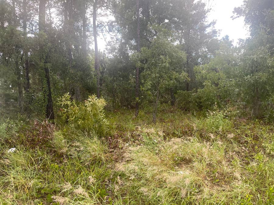 Property photo for Spring Hill, FL