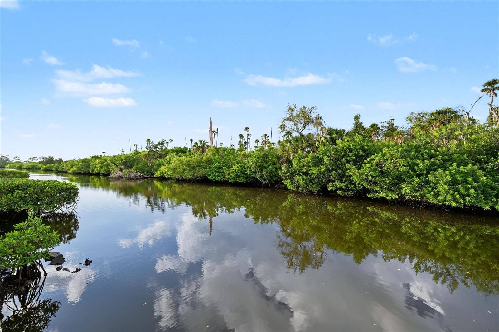 9930 EAGLES POINT CIRCLE, #1, Port Richey, FL 34668 9930 EAGLES POINT CIRCLE, #1, Port Richey, FL 34668