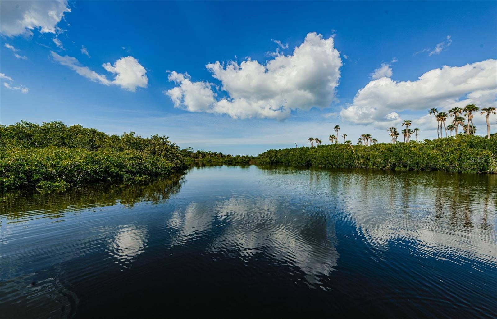 9930 EAGLES POINT CIRCLE, #1, Port Richey, FL 34668 9930 EAGLES POINT CIRCLE, #1, Port Richey, FL 34668